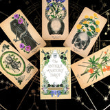 The Wild Unknown Animal Spirit Deck Tarot