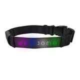 Led Display Pet Collar App Control