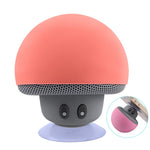 Mini Bluetooth Speaker