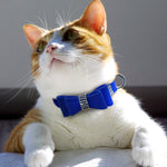 Puppy Cat Collars Adjustable Leather Bowknot