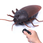 Remote Control Coackroach