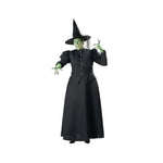 Morris Halloween Party Character Costume Witch 3Xlarge