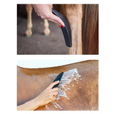 Horses Grooming Massage Brush