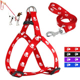 Paw Print Small Dog Harness