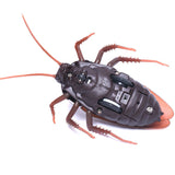 Remote Control Coackroach