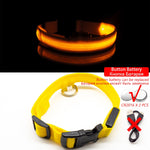 USB Charging Led Dog Collar